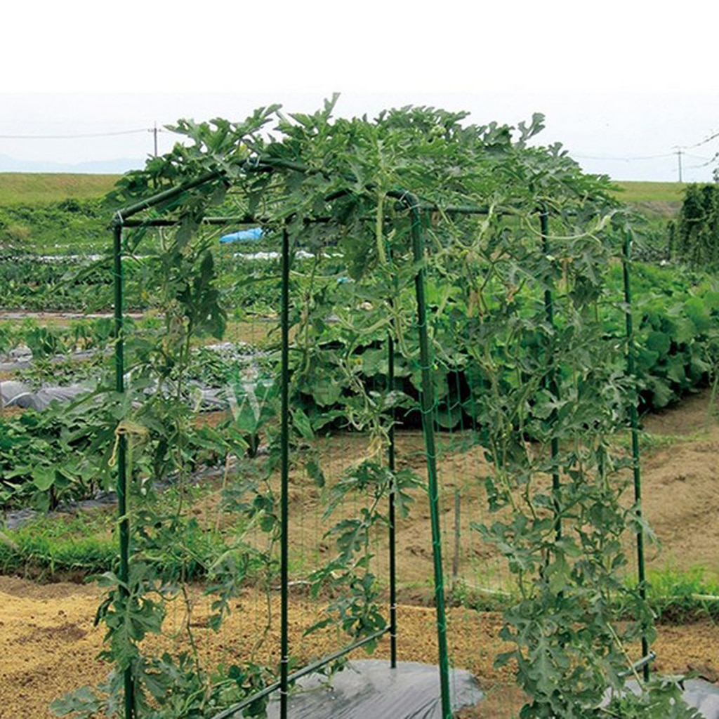 Support en Nylon pour treillis végétal | Pour plantes grimpantes, vigne végétine, fournitures de plantes de jardin et de légumes