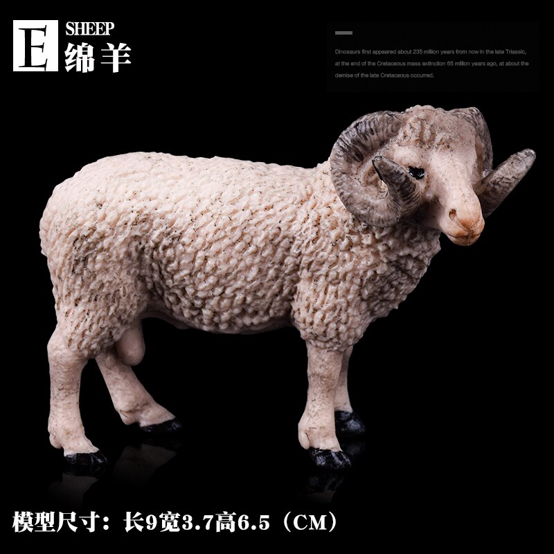 Wild Jungle Zoo Animal Models Collection Model Doll Educational toyWildlife Cognition for children: Sheep