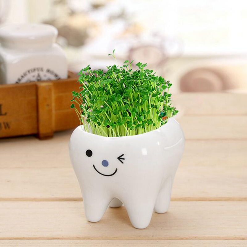 1Pc diente olla de forma Bonsai maceta de cerámica DIY pequeño balcón decoración plantas suculentas blanco macetas de suculentas: BL