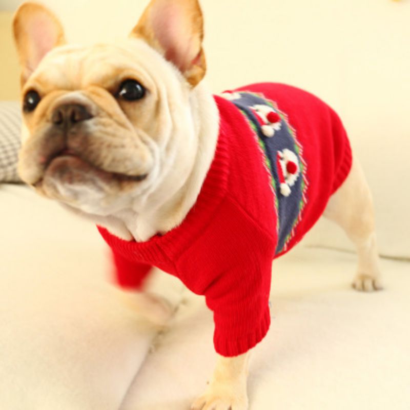 Déguisement de noël pour petits chiens | Vêtements en tissu, avec motif de dessin animé, pour animaux domestiques, chiens, 1 pièce