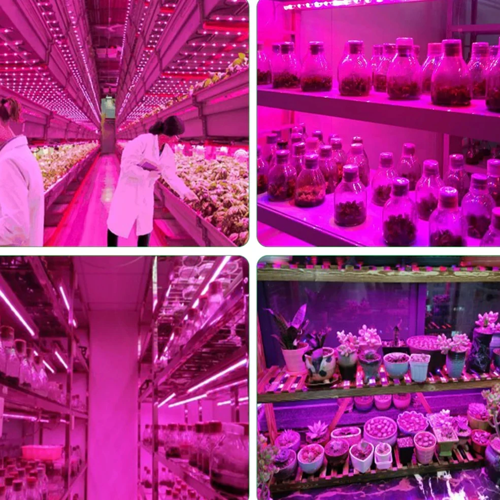 USB Led Grow Strip Phyto Lamp Licht Volledige Spectrum Plantengroei Licht Kas Phytolamp voor Planten Hydrocultuur Groeisysteem