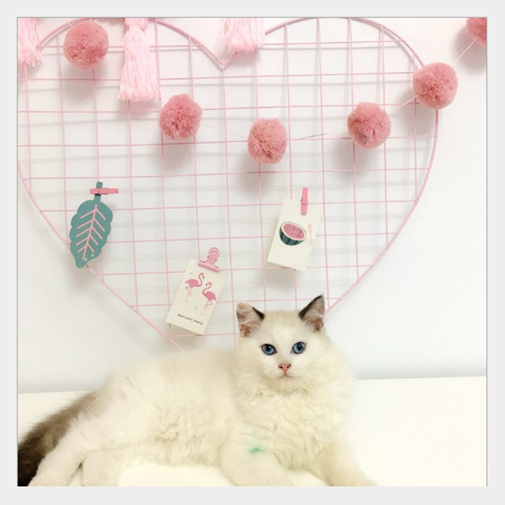 Home Decor Heart Wall Decoration Wall Photo Grid Panel Rack Clip Painted Wire Photograph Picture Hanging Frame Photo Organizer