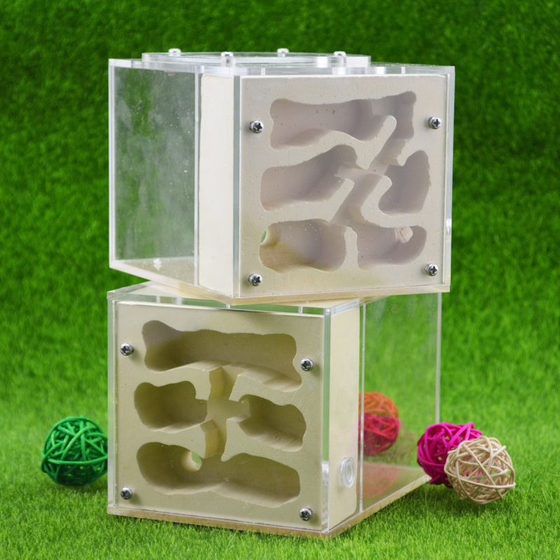 Acrylic & Gypsum Ants-Farm Ants Nest With A Whole Cover Longer Time To Keep Water 10*13*9.5cm