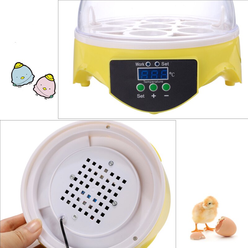 HHD 7 Eggs Incubator Machine 110V/220V Automatic Digital Mini Egg Incubator Adjustable Temperature Hatchery Brooder for Chickens