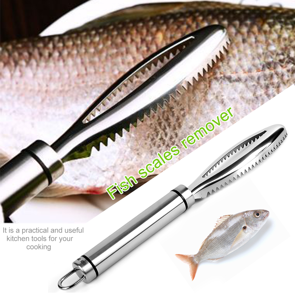 Brosse à écailles De Poisson - Neuf - Fabriqué En France