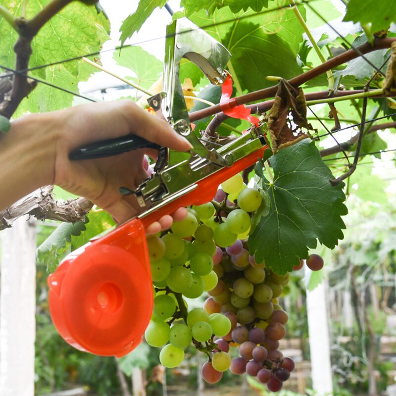 Tying Machine Garden Tools Plant Branch Hand Tying Vegetable Tapetool Tapener Tool Tying Branch Bind