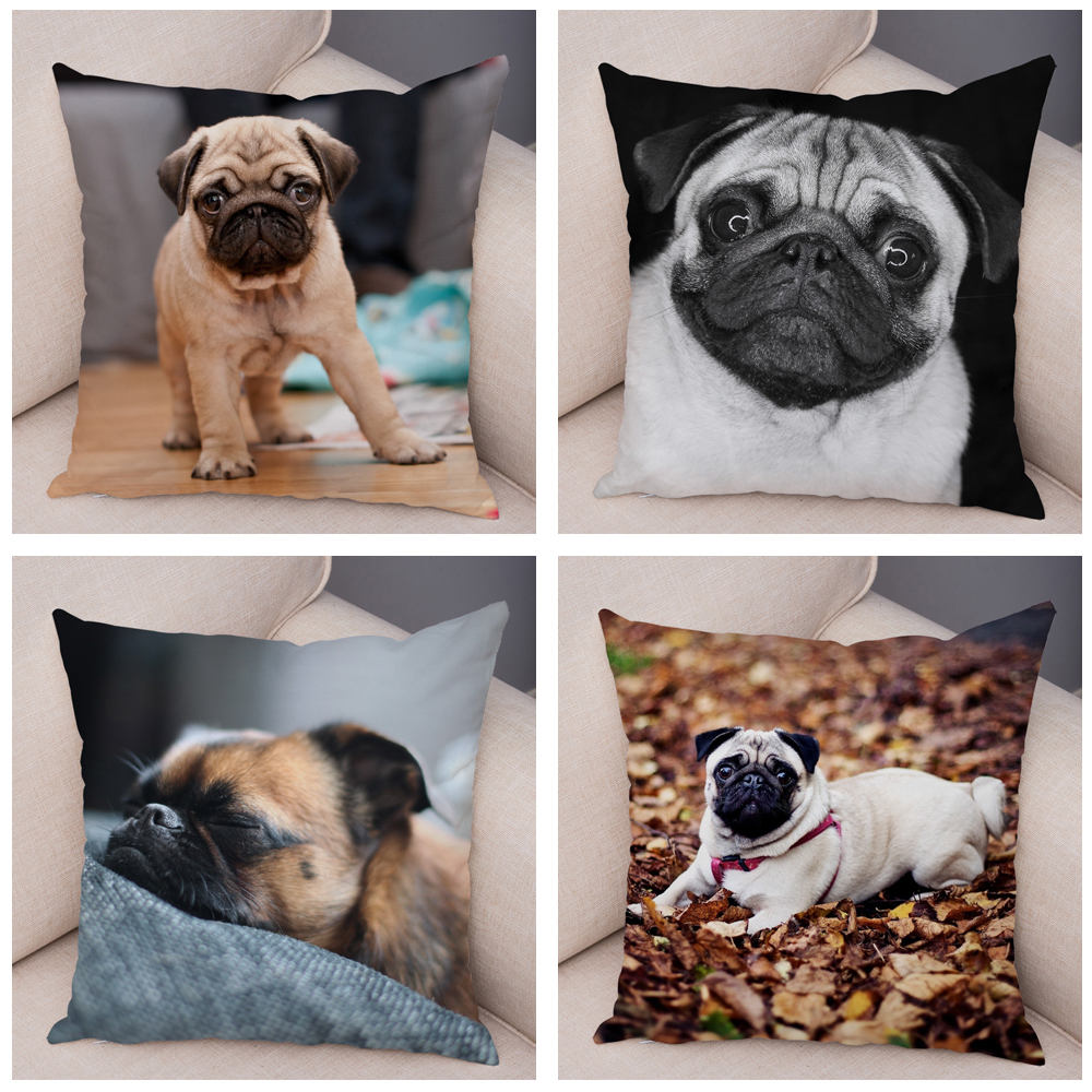 Housse de coussin carlin mignonne, oreiller décoratif imprimé pour animaux de compagnie, pour voiture, canapé, maison, en Polyester