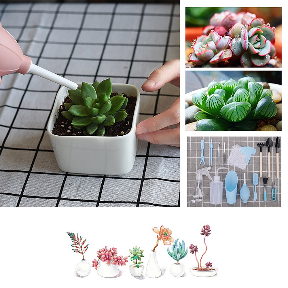 Conjunto de suculentas 16 Psc, herramientas de jardinería portátil, Mini jardinería cultivo de flores, Cactus, decoración del hogar