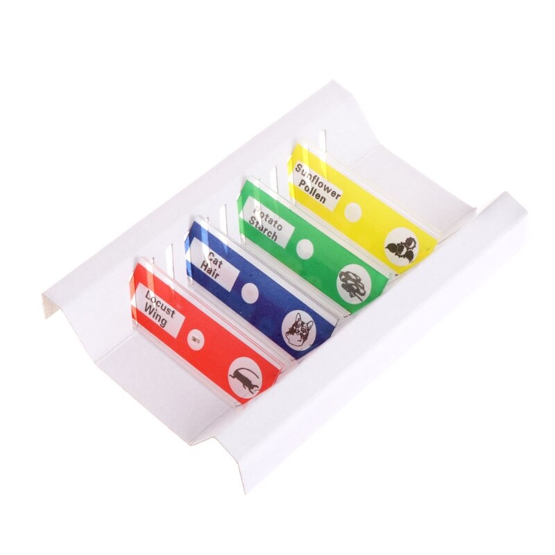 12 Pcs Prepared Microscope Slides Set Specimen for student Basic Biology Education