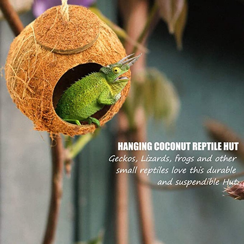 Crested Gecko Coco Hut Shell Bird House Sturdy Han... – Grandado