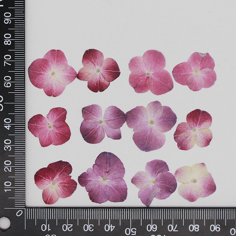 60 stuks/pak hortensia epoxy gedroogde bloemen reliëf plant specimen handgemaakte doe-het-zelf aromatherapie materiaal accessoires: 20