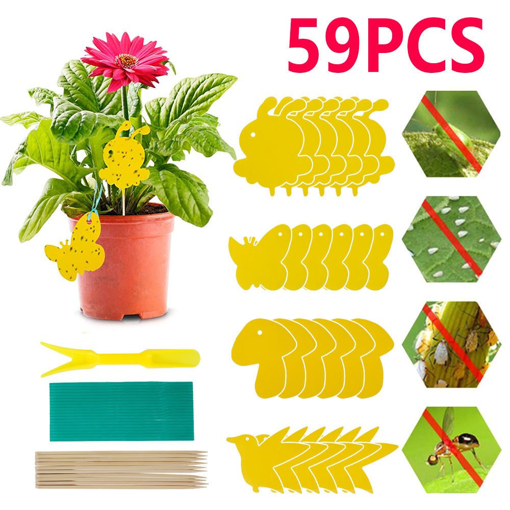 Papier collant imperméable pour plantes en pot, piège à mouches, panneau collant pour mouches de fruits, naturel, sûr, champignon, mounat: jaune clair