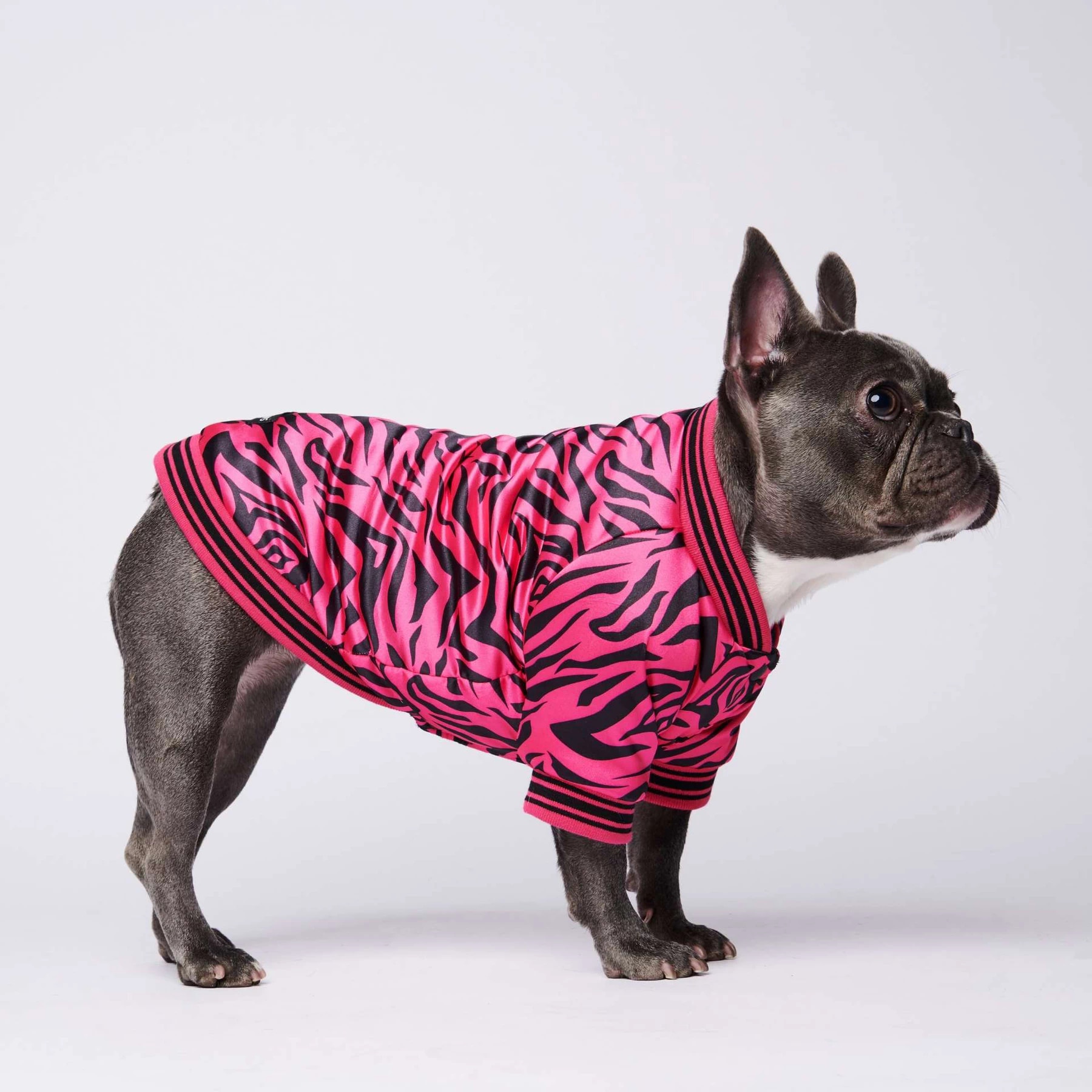 Francés ropa para Bulldog perro Sudadera con capucha de lujo para perros Adidog deporte de abrigo Retro Sudadera con capucha para perro mascotas ropa perros perro cachorro ropa de lujo