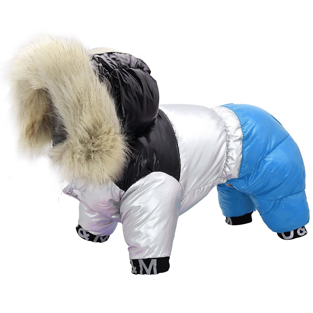 Vêtements chauds pour chiens bouledogue français | Vêtements d'hiver pour chiens Chihuahua Yorkies, manteau pour animaux domestiques, veste pour chiens, vêtements pour animaux domestiques Ropa Perro: Bleu / 16