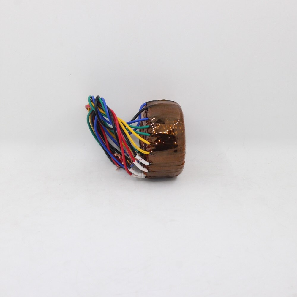 50W Toroidal Transformer Dual 220V 6.3V