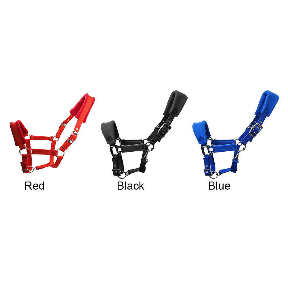 Correa de forro polar acolchada de doble capa para caballo, práctica, gruesa, ajustable, duradera, protectora, varios tamaños, accesorios