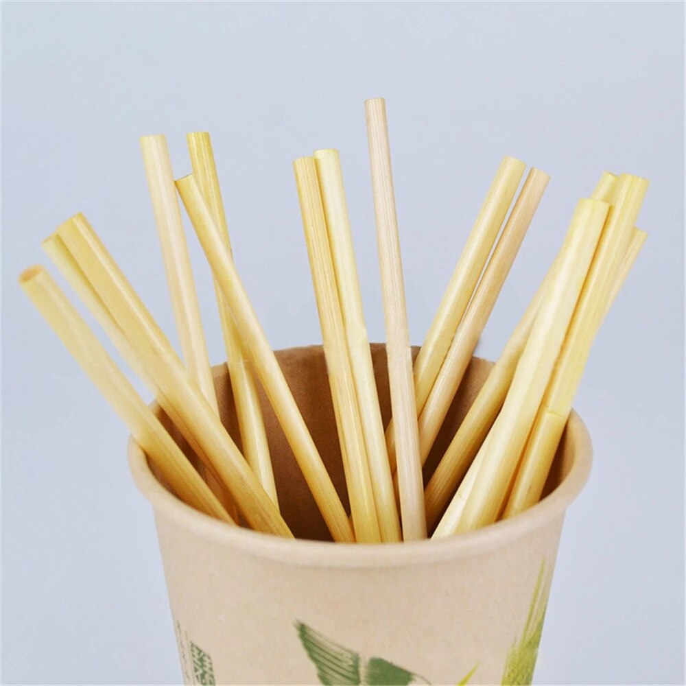 100PCS Portable Drinking Straw 100% Biodegradable Straws Bar Kitchen Accessories