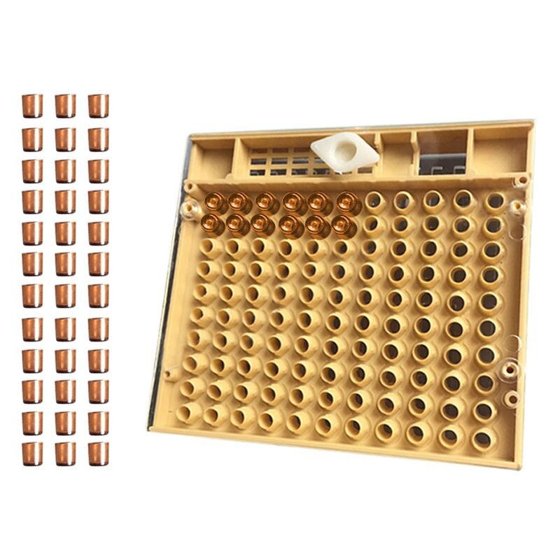 Bijenteelt Gereedschappen Apparatuur Set Queen Opfok Systeem Cultiveren Doos 110 Pcs Plastic Bee Mobiele Kopjes Cup Kit Koningin Kooi