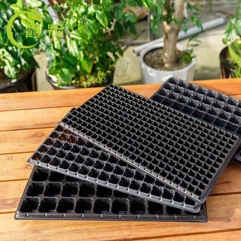 5 Stuks Dikker Kwekerij Pot Plaat 200 Gaten Plastic Tuin Plant Containers Zaailing Starter Voortplanting Lade Voor Succulent Bloem