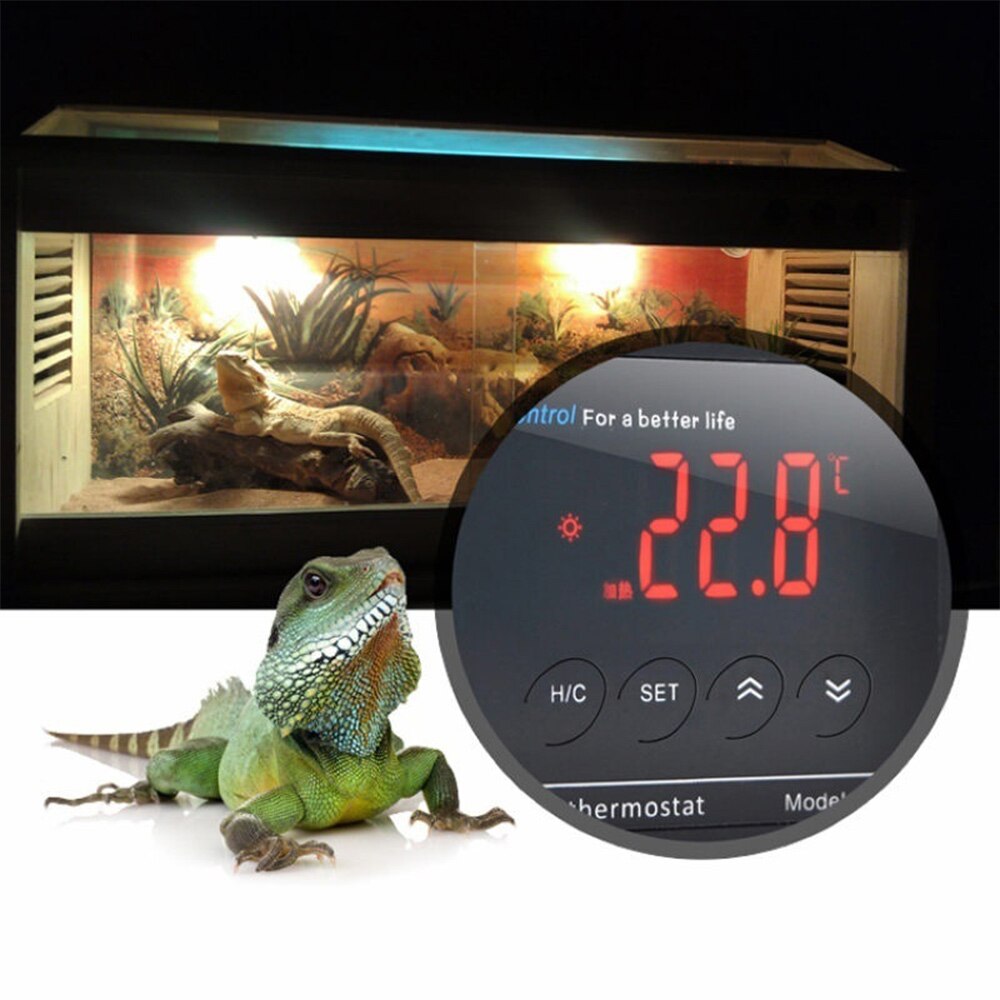 Visual Reference: Digital Lcd Thermostat Reptiles Amphibians Pet Nes