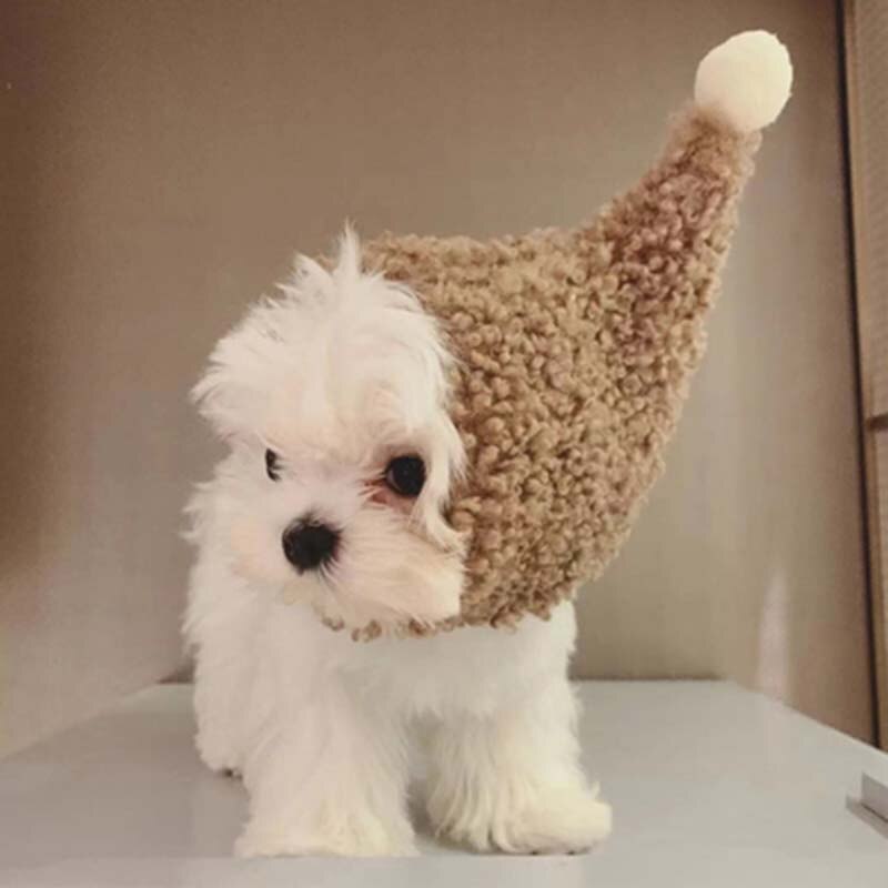 Hond Hoed Kleine Hond Hoofddeksels Warme Winter Teddy Hoed Hoofdtooi dan Beer Schattige Hoofddeksels Wizard Hoed Pet Accessoires