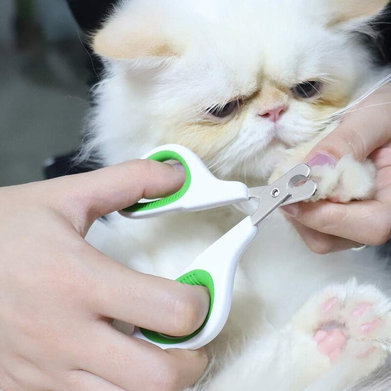 Kattennagelschaar, kattennagelknipper, kattenbenodigdheden met antislip handvat, nagelknipper voor huisdieren