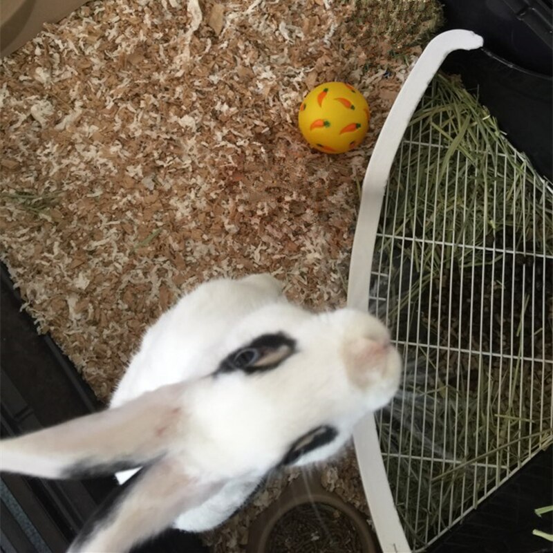 7Cm Snack Bal Voor Kleine Pet Hond Kat Konijn Cavia Hamster Behandelen Speelgoed