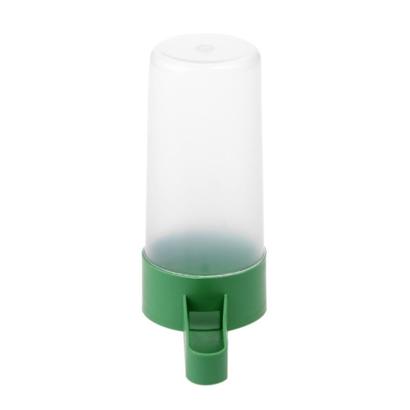 Abreuvoir pour oiseaux, abreuvoir pour perruches aviaires, pinsons, canari, Anti-algues S/L