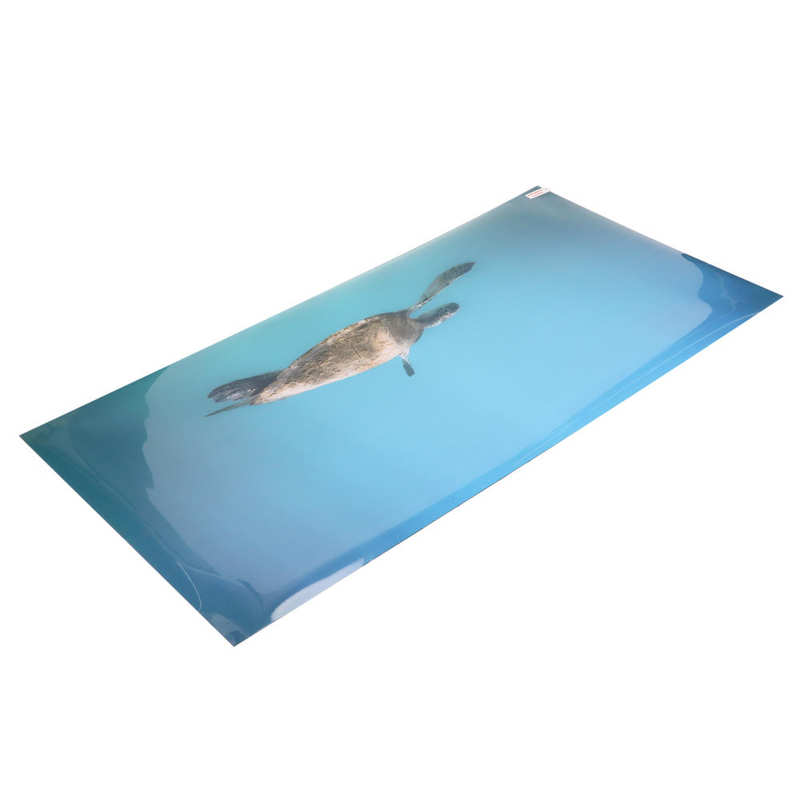 Aquarium Background Paper 3D Effect Fish Tank Decoration Poster for Underwater