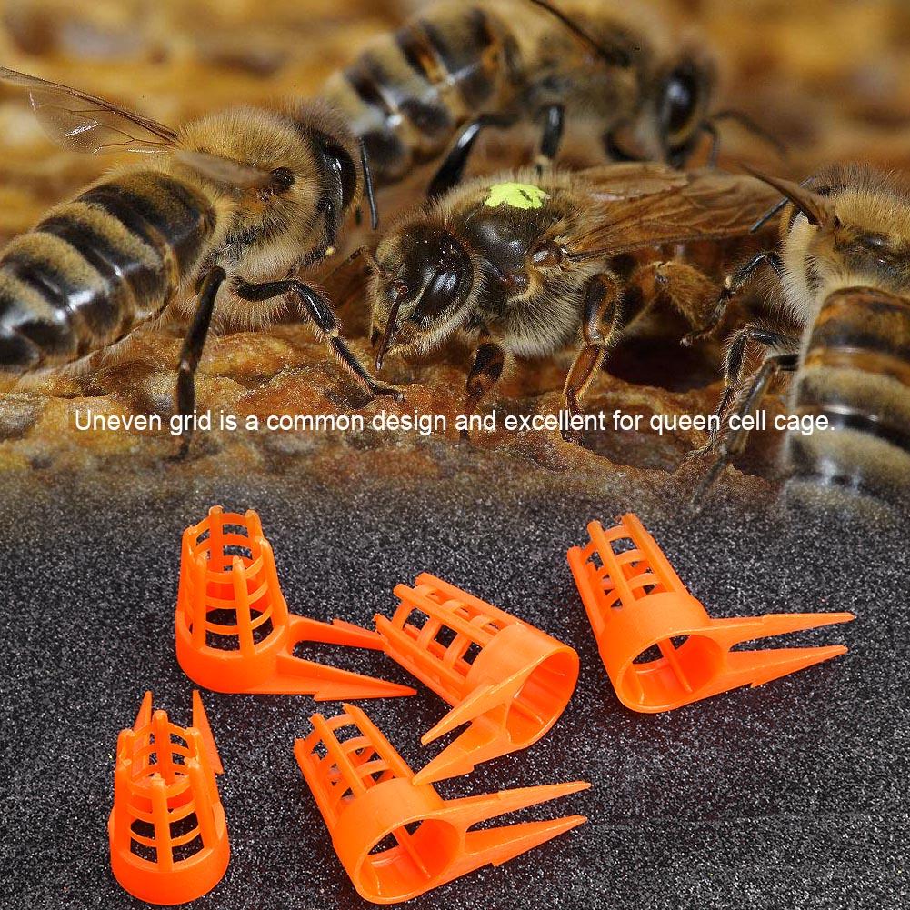 30 stks/pak Bee Koningin Kooi Mobiele Cover Beschermende Cellulaire Tool Farm Bee Voeden Apparatuur Bijenteelt Accessoies