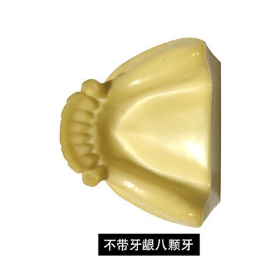 1PCS Dental Mandibular Demonstration Oral Model Implant Practice Maxillary Sinus Teaching Model Soft Gum Training Teeth model: T