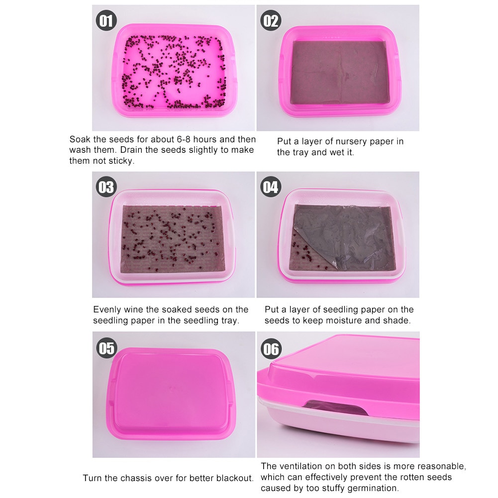 Support de plateau de germination de graines, Pot de semis sans sol, conteneur hydroponique, conteneur de plantation de plantes