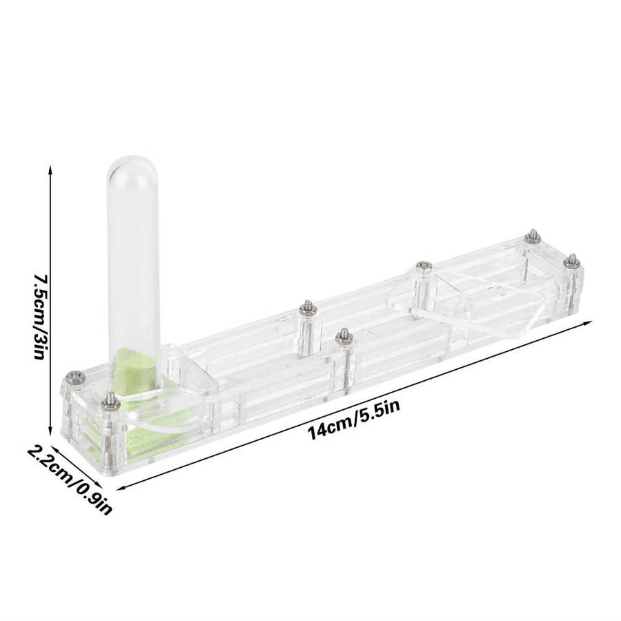 Acryl Mieren Fokken Transparante Insect Fokken Doos Formicarium Display Box Mier Living Voerbox