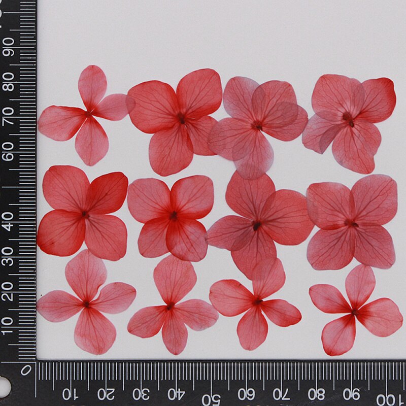 60 stuks/pak hortensia epoxy gedroogde bloemen reliëf plant specimen handgemaakte doe-het-zelf aromatherapie materiaal accessoires: 7