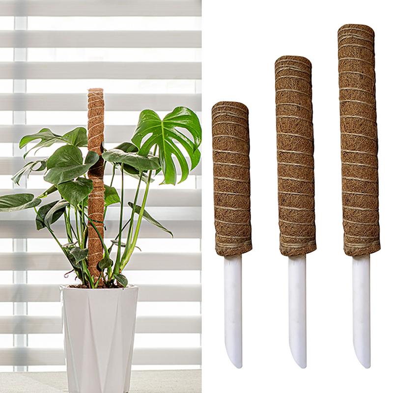 Enredaderas de plantas trepadoras Monstera, poste de musgo, soporte de plantas, Coir tótem de Coco, estacas para cultivar plantas, enrejados de vid de casa en maceta