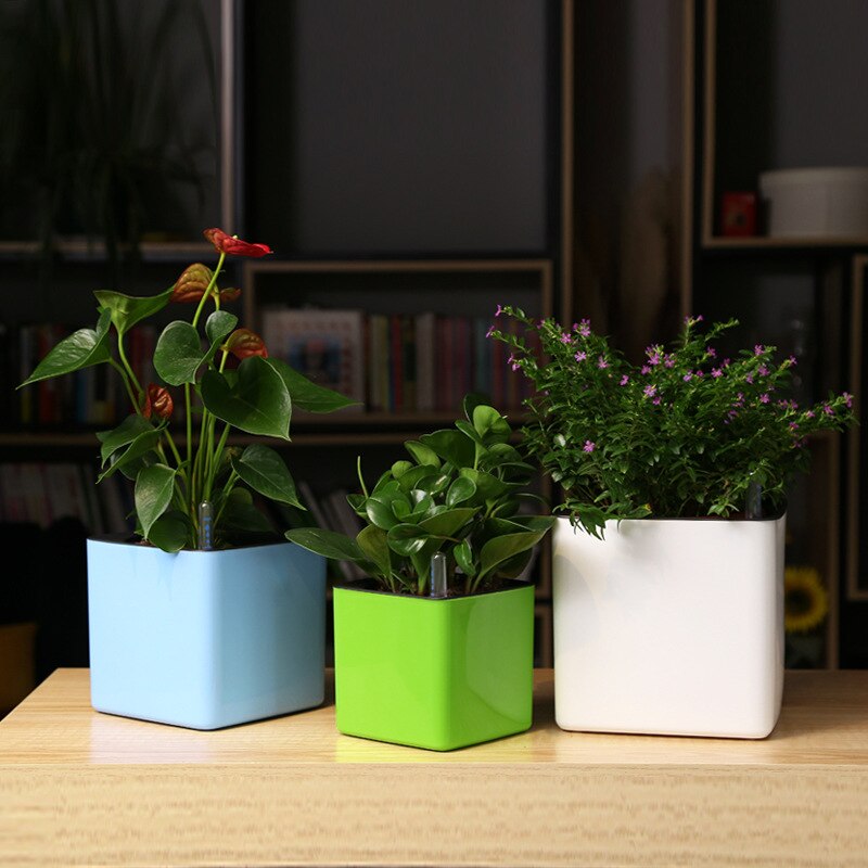 Waterniveau Indicator Gauge Display Watertekort Herinnering Voor Alle Huis Planten Bloemen Kruiden Vetplanten Indoor Potplanten
