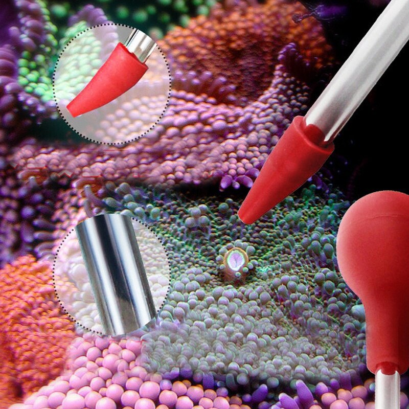 Coral Feeder, Injection Tube of Long Acrylic Feeder, Accurate Distribution Point of Liquid Fertilizer Feeder