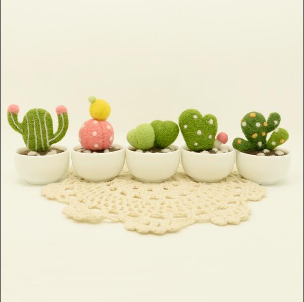 Cactus vlezige plant mini-pot wolvilt wollen borduurset wolvilt naaldvilten decoratie knutselen handwerk diy