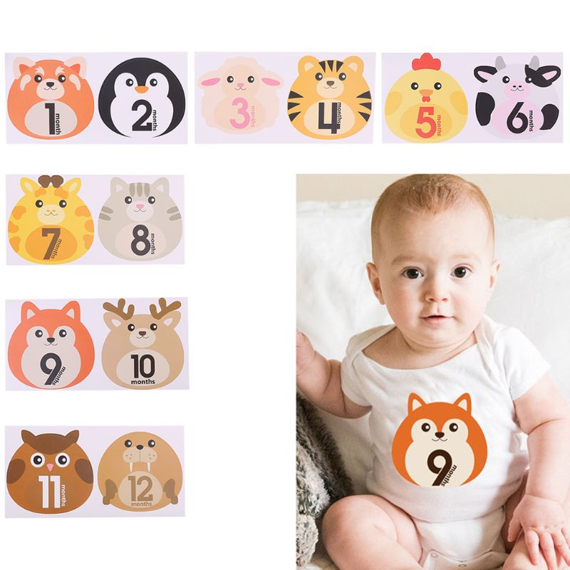 12 Pcs Animal First Year Monthly Milestone Photo S... – Vicedeal