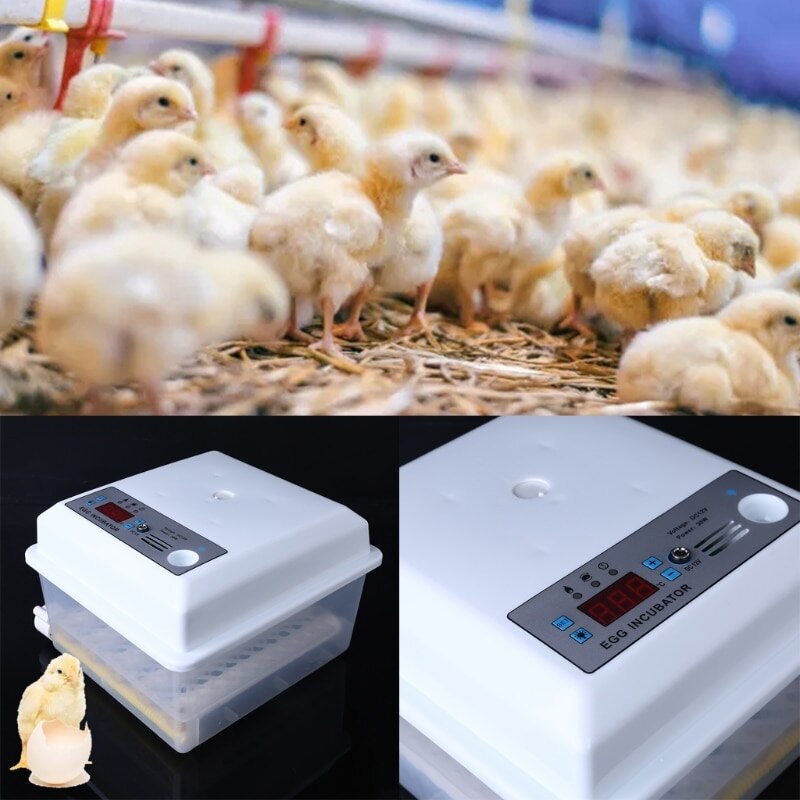 220V 16 Eggs Incubator Brooder Bird Quail Chick Hatchery Incubator Poultry Hatcher Turner Automatic Farm Incubation Tools EU