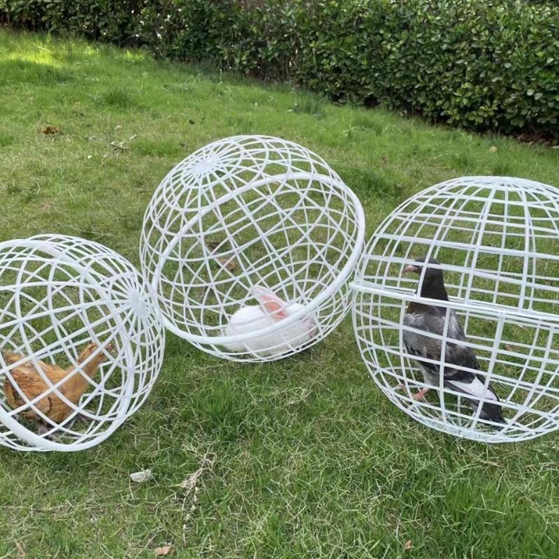 Ball Cage for Chickens 3 Pieces Pet Safety Cage Spherical Chicken Orb Ball Cage Ball-Shaped Chicken Hamster Ball Cage Pigeon