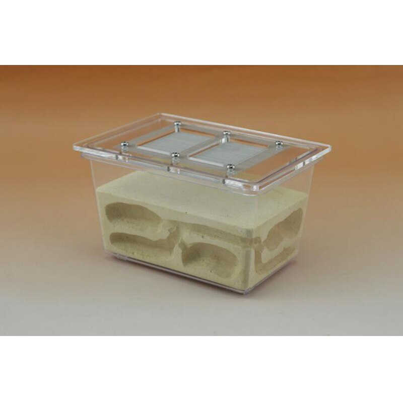 Ecological Pet Ant Nest Three-dimensional Ant Villa Small Four-sided Ant Farm Breeding Nest