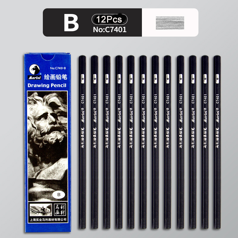 12Pcs 2H HB B 2B 3B 4B 5B 6B 7B 8B 12B 14B Sketch Drawing Graphite Shading Charcoal Pencils Set Sketching for Artists Beginners: Blue