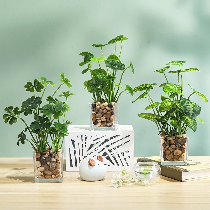 Bomboniera con Piante Grasse Succulente e Mini Cactus in Vasetto di Ceramica Bianco con Frase Let Love Grow in Corsivo, Nomi e Data | Olallà