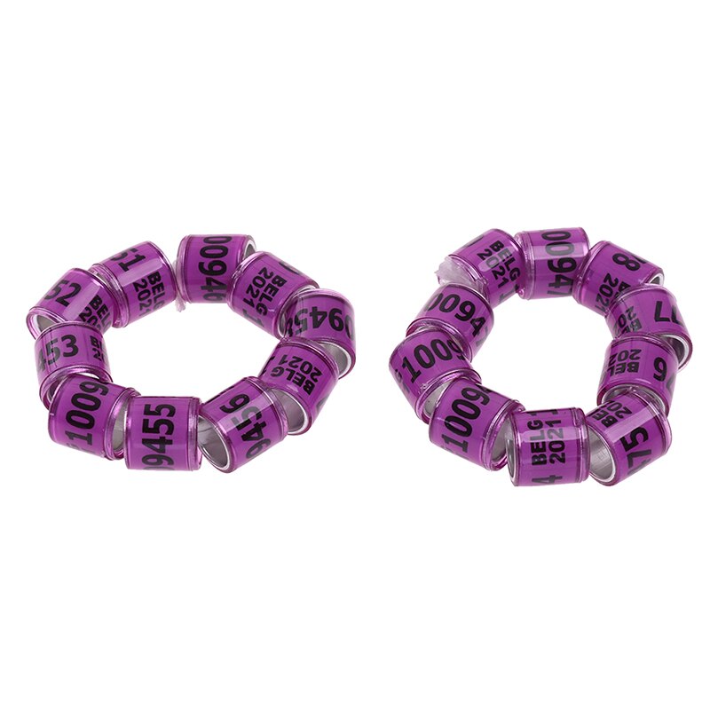 20 Stuks Multicolor Duif Voetring Met Woord Oorbellen Duurzaam Vogel Ring Duif Voetring Vogel Gereedschap: Paars