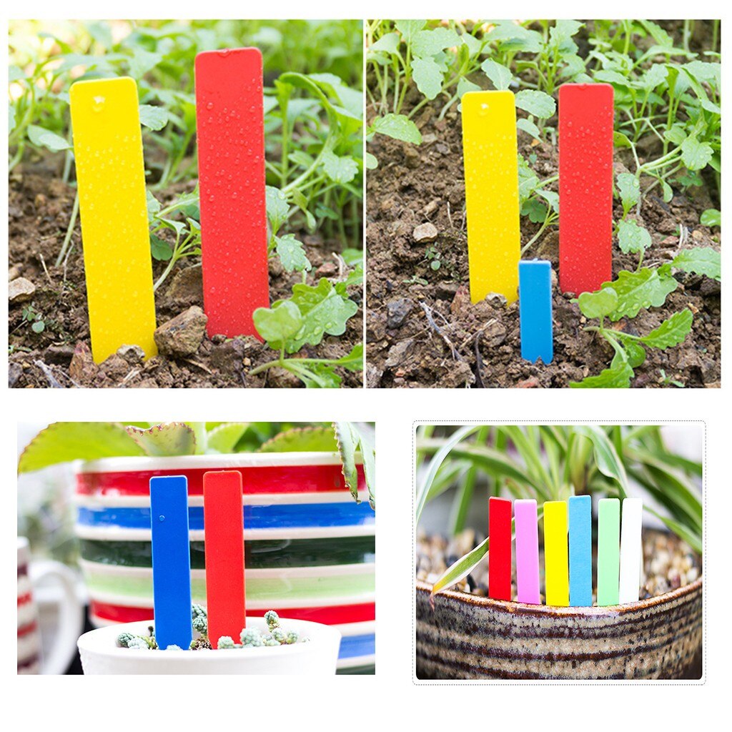 100 pces etiquetas de plantas de plástico à prova dwaterproof água jardim etiquetas de plantas marcador de sementes multicolorido pote marcador de plantas tag de nome de planta planta