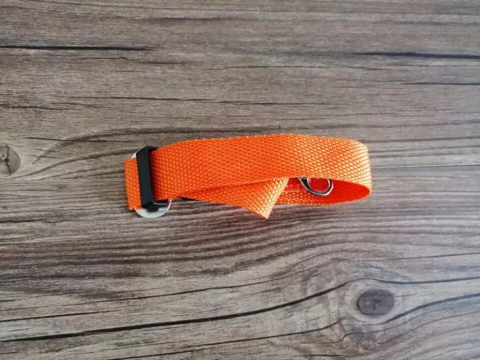 10Pcs Pet Seat Belt 11 Kleuren Epet GS001 Zo Laag Als 0.36Usd Per Stuk: 10pcs orange