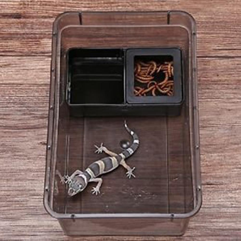 Reptilian Feeding Box Escape-proof Transparent Spider Horn Frog Turtle Snake Breeding Container