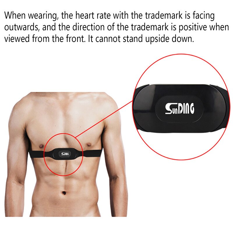 Bluetooth 4.0 Sport Heart Rate Monitor Sensor Meter Band Pulsometers For Cycling Chest Strap Cardiac Cyclo Accessories