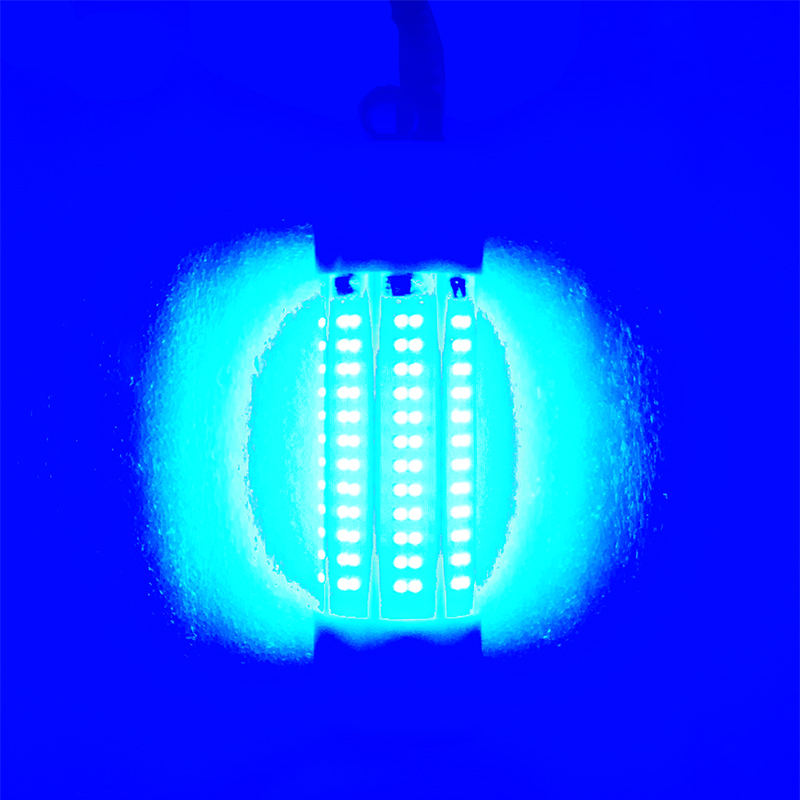 5 M 100 W 12V LED Underwater Fishing Light IP68 Waterproof Lures Attracting Fish Finder Lamp: Blue / 71-80W